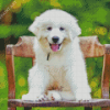 Great Pyrenees Puppy Diamond Painting