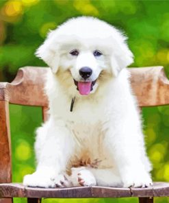 Great Pyrenees Puppy Diamond Painting