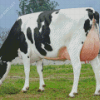 Holstein Friesian Cattle Diamond Painting