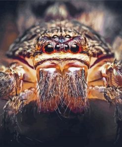 Huntsman Spider Face Diamond Painting