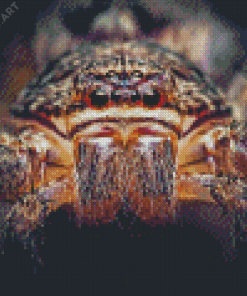 Huntsman Spider Face Diamond Painting