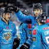 Ice Hockey Players Belfast Giants Diamond PaintinG