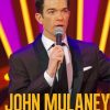 John Mulaney Poster Diamond Painting