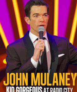 John Mulaney Poster Diamond Painting