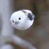 Long Tailed Tit In A Midflight Diamond Paintings