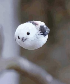 Long Tailed Tit In A Midflight Diamond Paintings