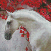 Lusitano And Red Blossoms Diamond Paintings