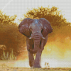 Mad Elephant Animal Diamond Painting