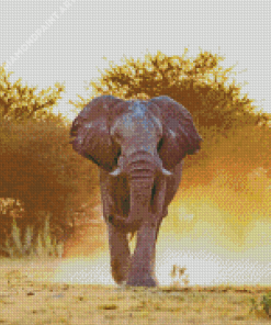 Mad Elephant Animal Diamond Painting