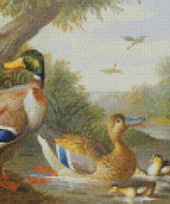 Mallard Duck Babies Diamond Painting