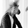 Mr Zebra In Suit Diamond Painting