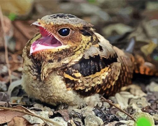 Nightjar Diamond Painting