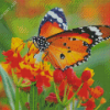 Orange Flower With Butterfly Diamond Painting