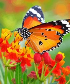 Orange Flower With Butterfly Diamond Painting