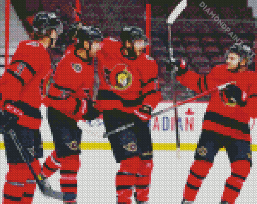 Ottawa Senators Ice Hockey Players Diamond Painting