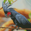 Palm Cockatoo Diamond Paintings