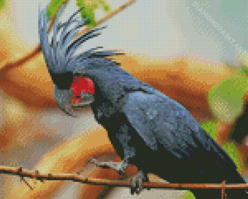 Palm Cockatoo Diamond Paintings