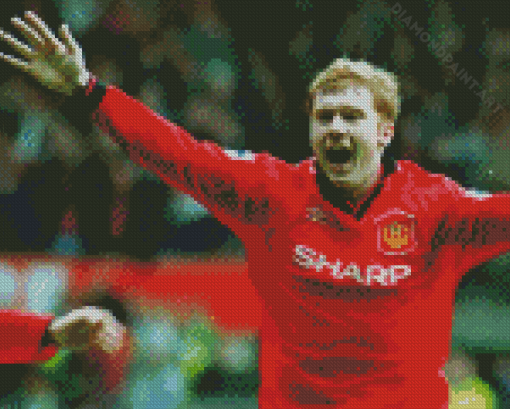 Paul Scholes Manchester United Diamond Painting