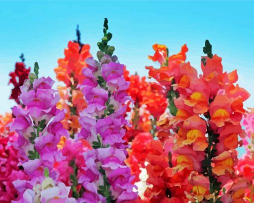 Peachy And Purple Snapdragons Diamond Painting