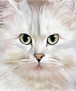 Persian Cat Diamond Paintings