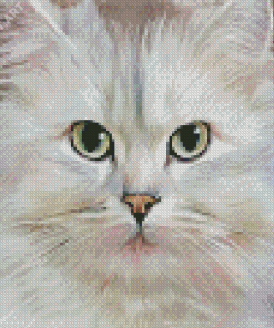 Persian Cat Diamond Paintings