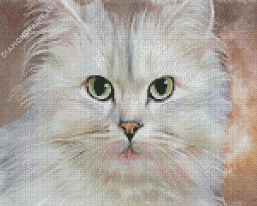 Persian Cat Diamond Paintings