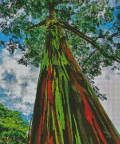 Rainbow Eucalyptus Tree Diamond Painting