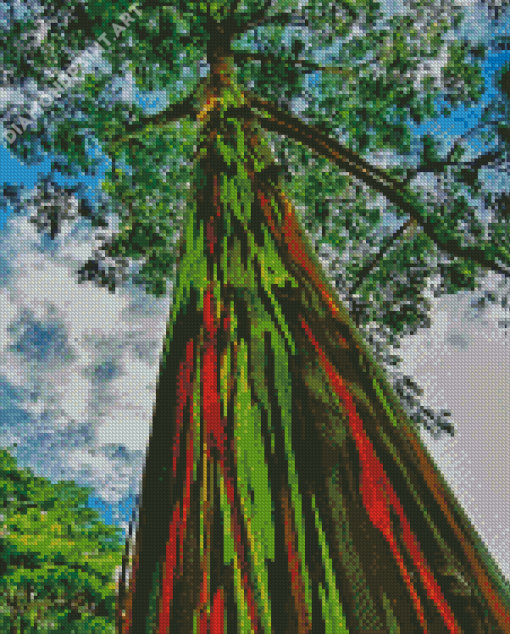 Rainbow Eucalyptus Tree Diamond Painting