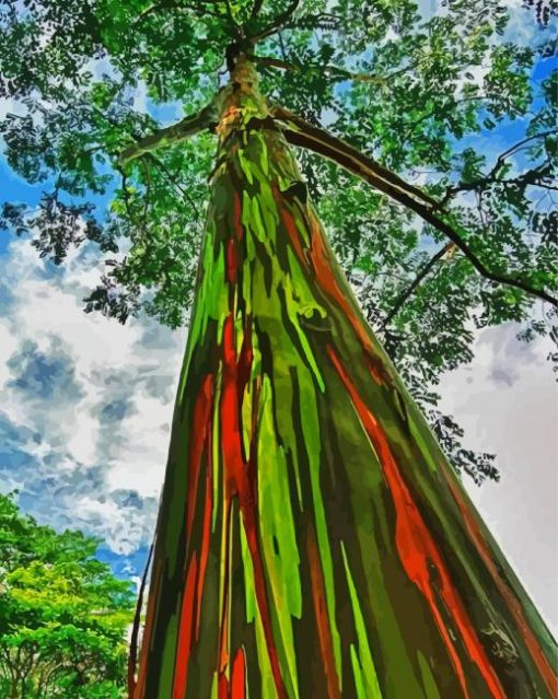 Rainbow Eucalyptus Tree Diamond Painting