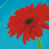 Red Gerbera Daisy Diamond Paintings