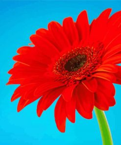 Red Gerbera Daisy Diamond Paintings