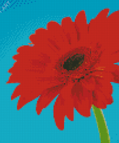 Red Gerbera Daisy Diamond Paintings