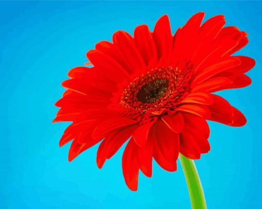 Red Gerbera Daisy Diamond Paintings