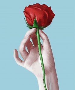 Red Rose And Hand Diamond Painting