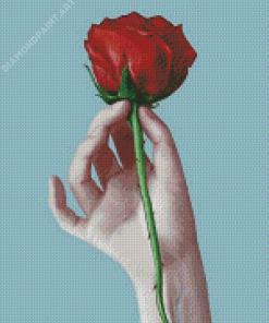 Red Rose And Hand Diamond Painting