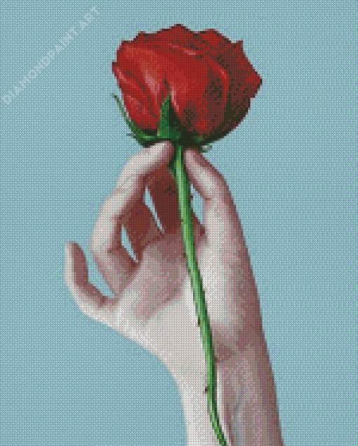 Red Rose And Hand Diamond Painting