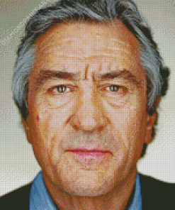 Robert De Niro Face Diamond Paintings