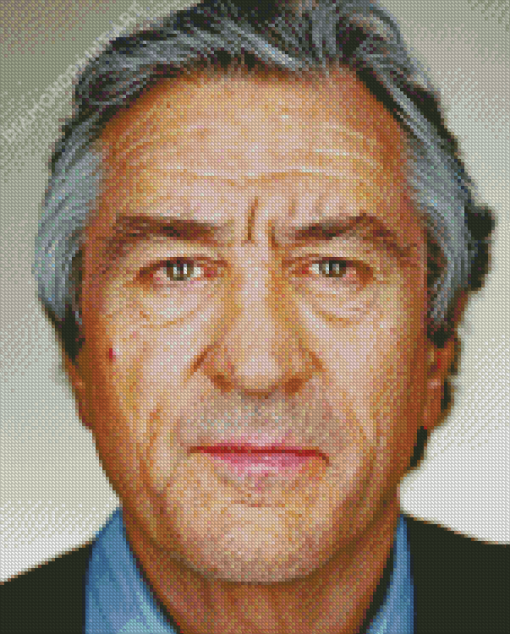 Robert De Niro Face Diamond Paintings