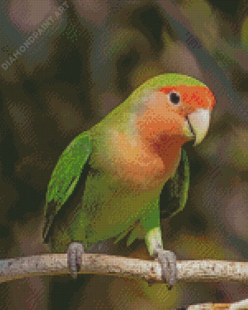 Rosy Faced Lovebird Diamond Paintings