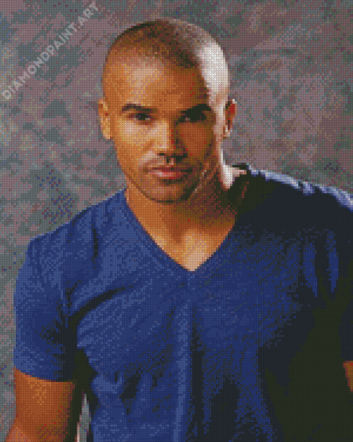 Shemar Moore Celebrity Diamond Paintings