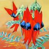 Sturt Desert Pea Plant Diamond Paintings