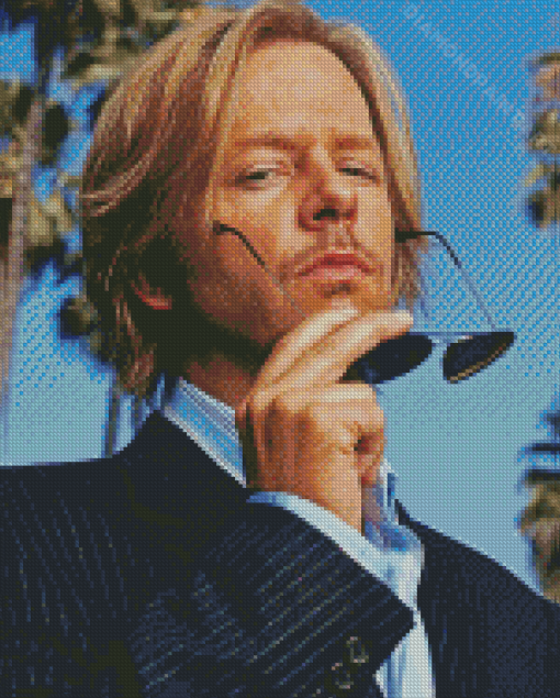 The Actor David Spade Diamond Painting