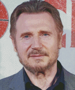 The Actor Liam Neeson Diamond Painting