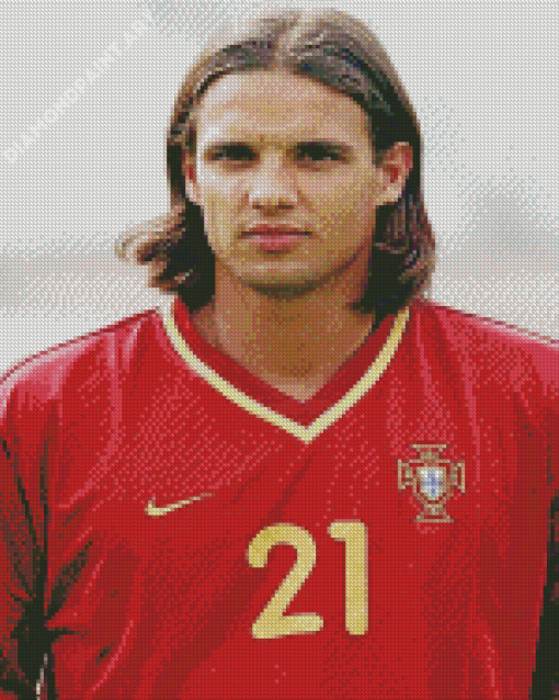 The Portuguese Player Nuno Gomes Diamond Painting