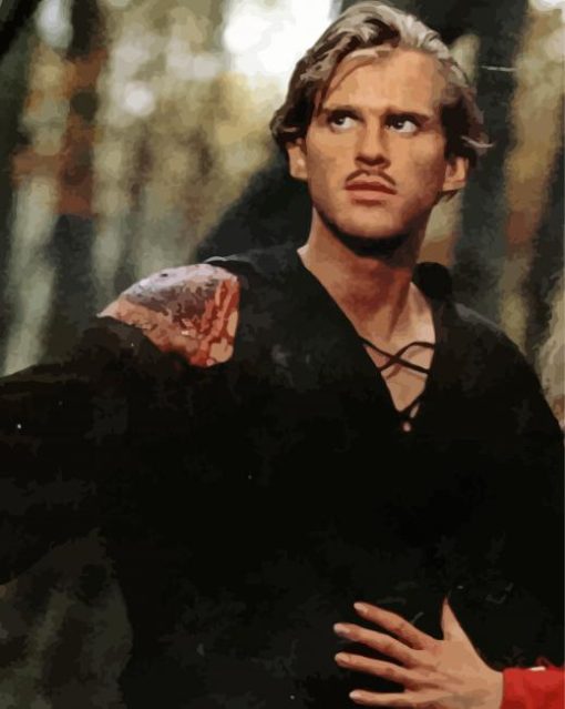 The Princess Bride Illustration Diamond Painting