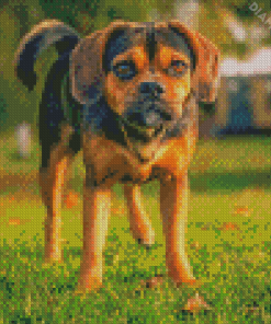 The Puggle Dog Diamond Painting