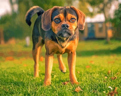 The Puggle Dog Diamond Painting