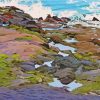 Tide Pool Art Diamond Painting