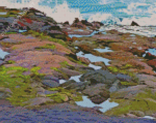 Tide Pool Art Diamond Painting