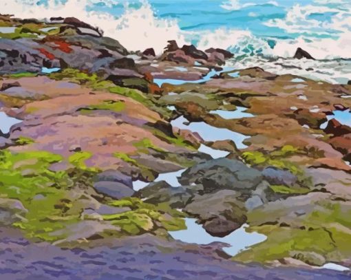 Tide Pool Art Diamond Painting